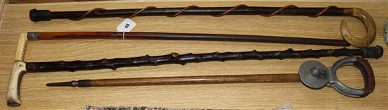 A shooting stick and 3 walking sticks